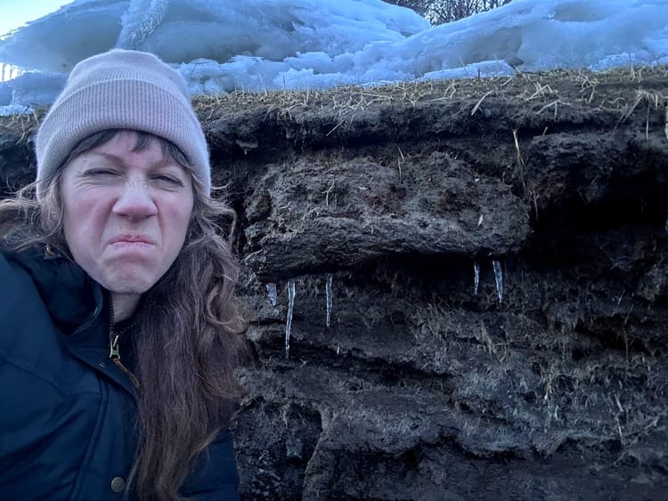 Conversation Starters