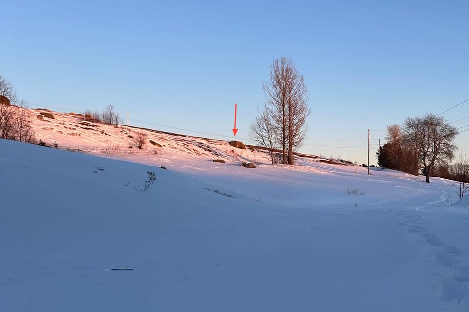 Photograph of snow covered blueberry barren. Most of the hill is covered in shadows.